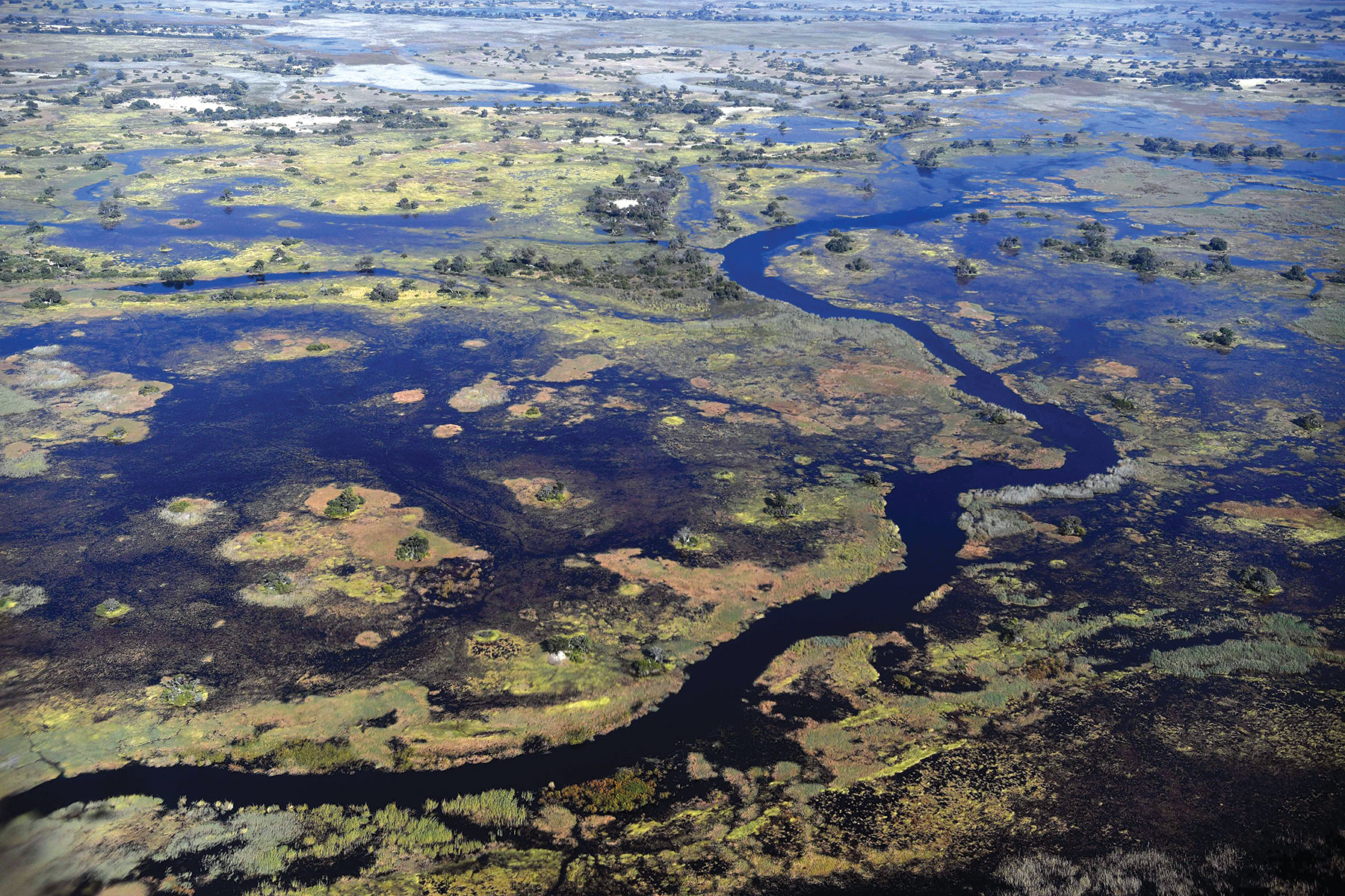 Okavango funding push signals new economics of conservation