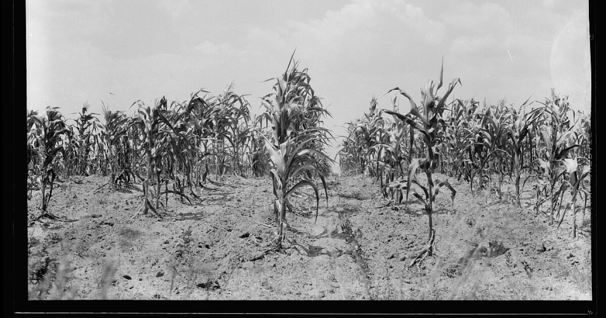 Outside/In: A Dry Hot American Summer