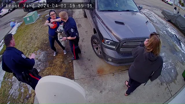 Owner of Summerside dogs that killed boy tells court training was in the works