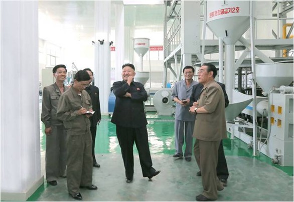 Project Anthracite: Analyzing North Korean Patents and Academic Journals for Evidence of Chemical Weapons Potential