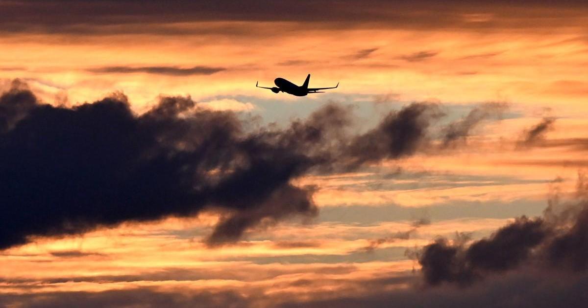 Qantas flight diverted after man bites flight attendant