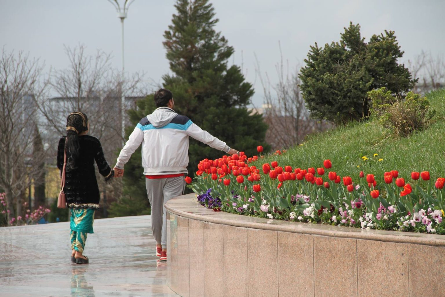 Rain, hail, and dust haze: what will the weather be like in Tajikistan in May?