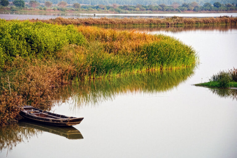 Salt marsh recovery isn’t enough to offset destroyed older wetlands, study finds
