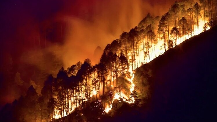 Satellite images of Uttarakhand and Himachal Pradesh show large scorched forest areas