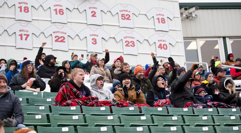 Sea Dogs again blown out by Somerset