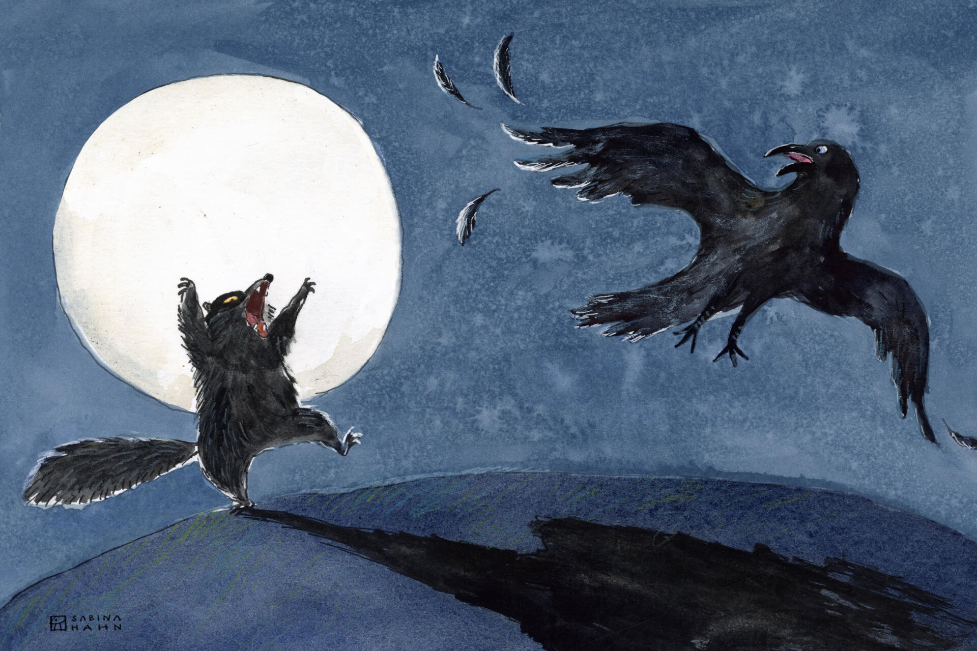 A raccoon and a bird. (Sabina Hahn for WBUR)