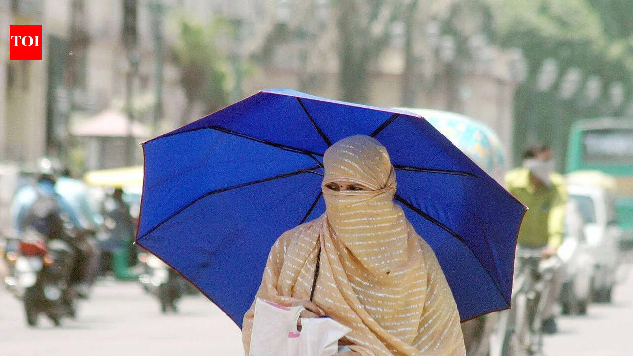 Severe heatwave scorches Prayagraj; rain relief likely soon | Prayagraj News