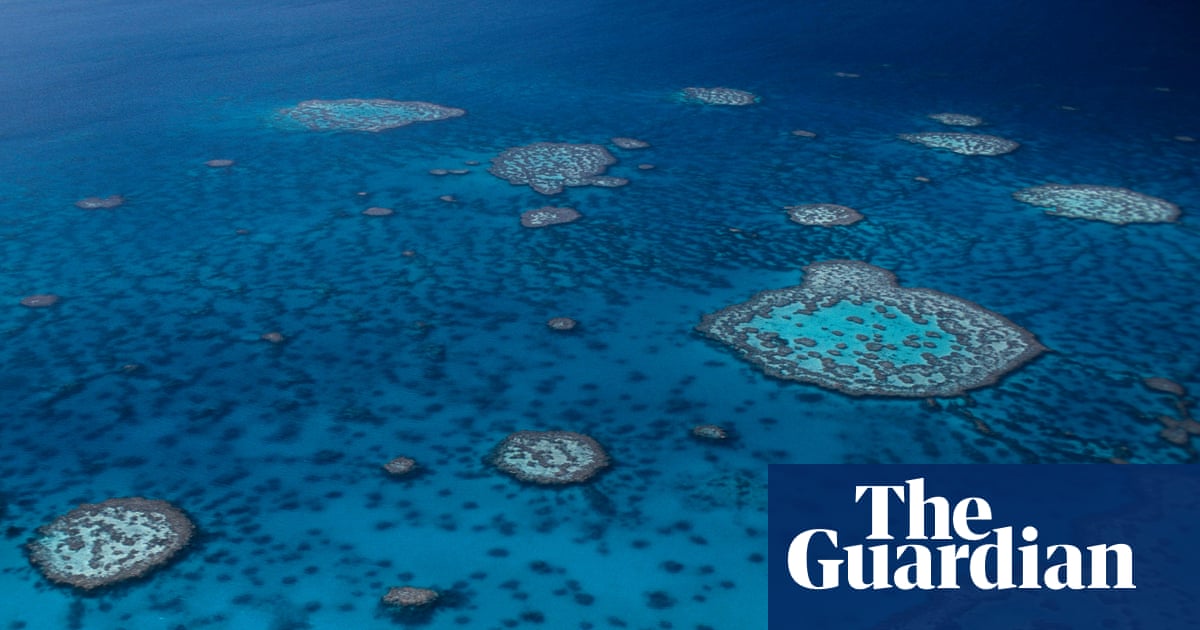 Shark attack: man dies on Great Barrier Reef in far north Queensland | Queensland