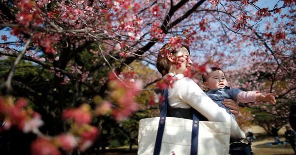 Social norms seen as key factor in Japan's low birthrate