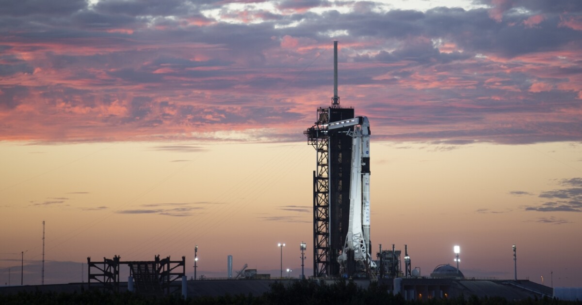 SpaceX reveals plans for what could be the biggest-ever initial public offering