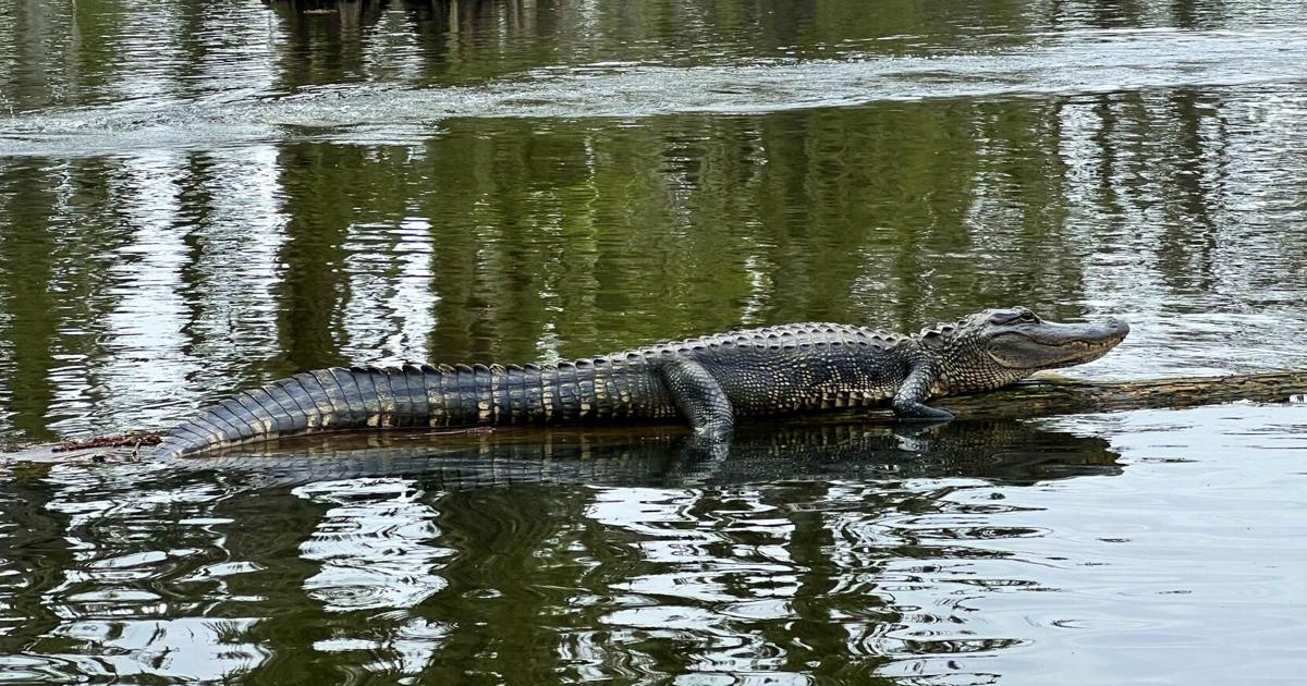 Stormy weather hampering fishing efforts | Louisiana Outdoors