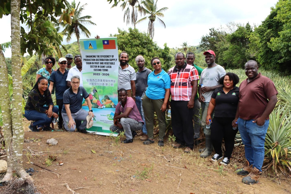Taiwan Technical Mission Hosts Pineapple Cultivation Workshop