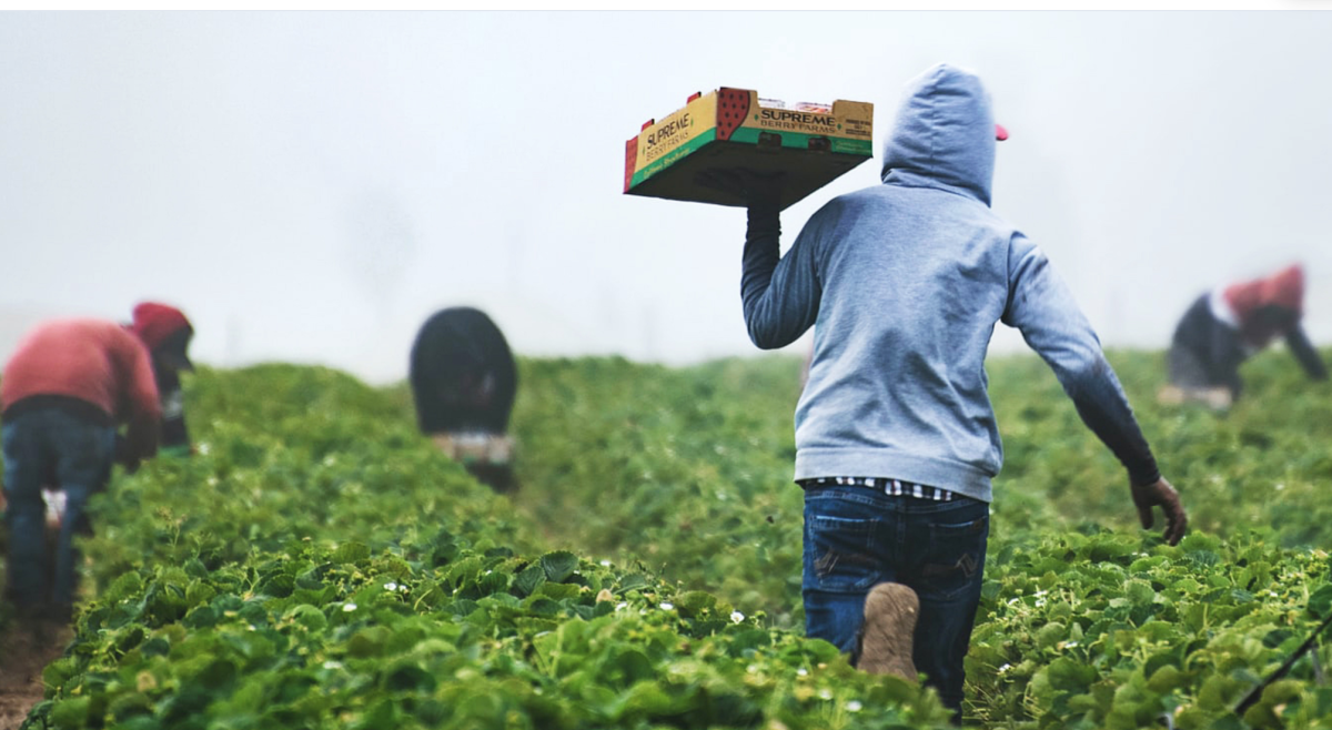 Techbytes: Kaleidofin closes Kenya’s first private Agri-Securitisation deal (The Exchange)