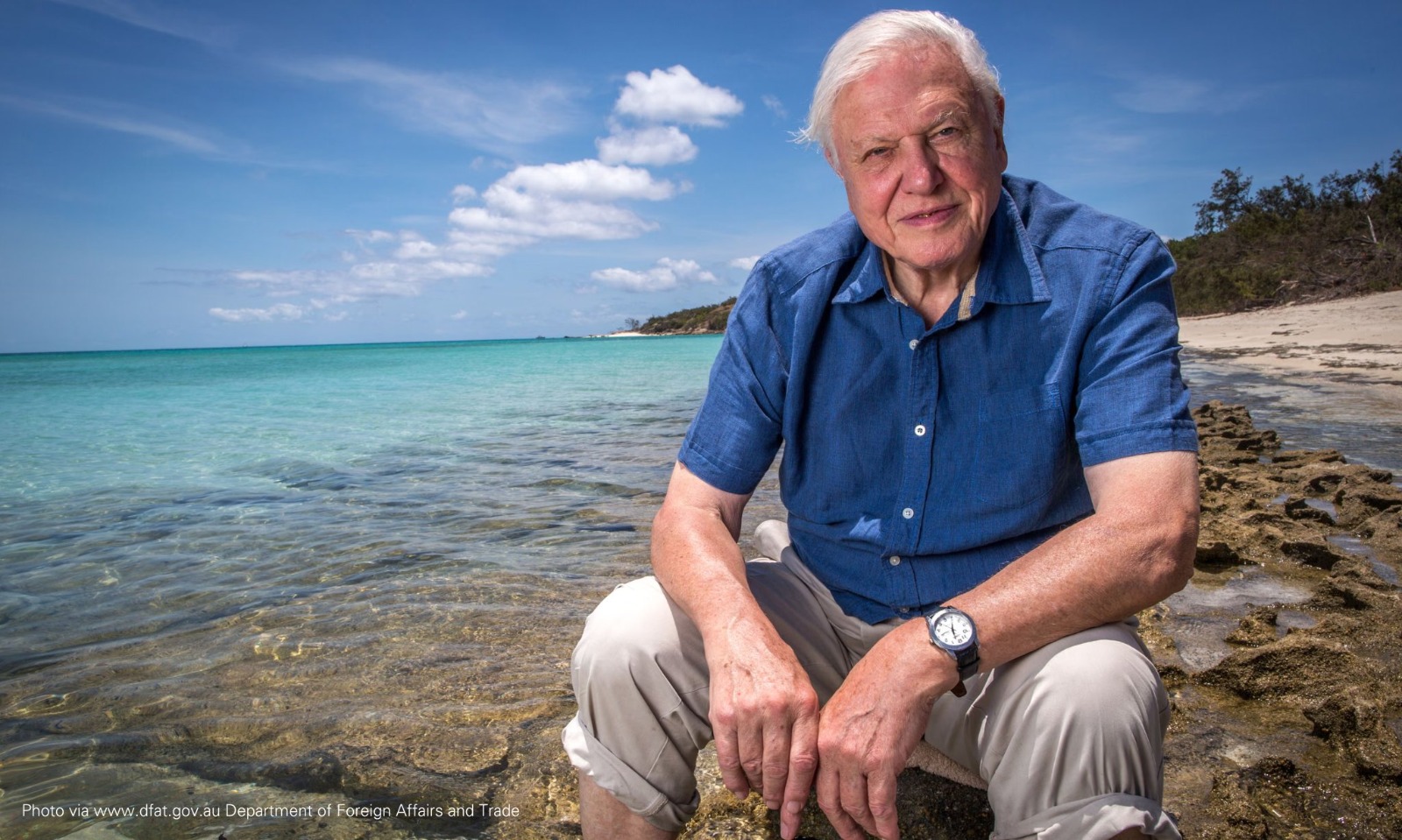 The man who narrated Earth: Sir David Attenborough turns 100