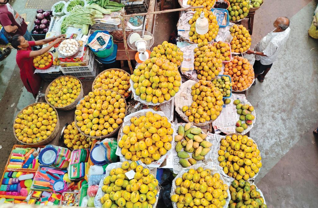 Through orchards and time - The Navhind Times