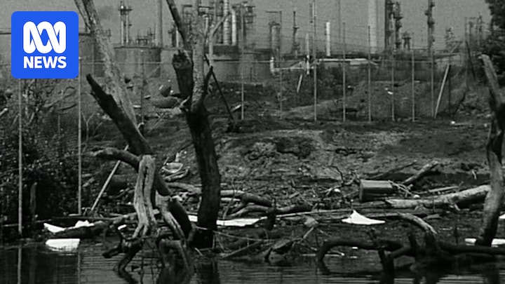 University students bioremediate Agent Orange chemicals manufactured for Vietnam War from Sydney waterways