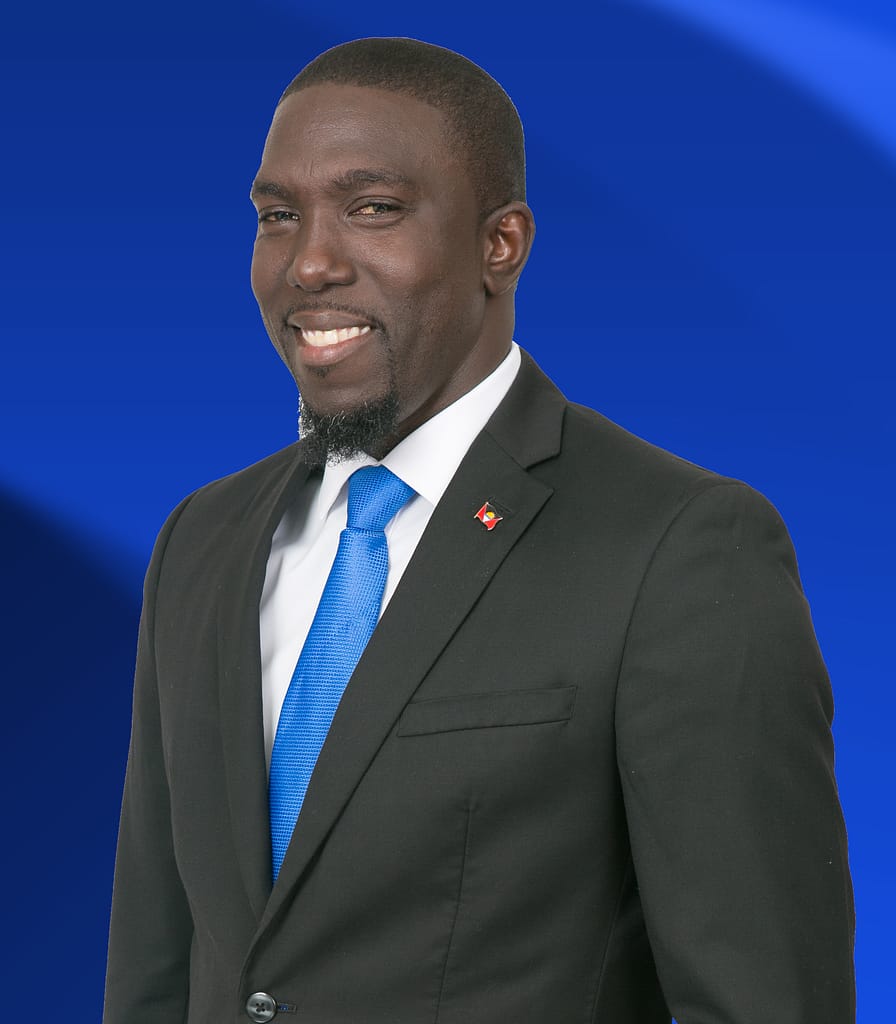 WATCH: Wickham says Pringle's Days As UPP Leader Are Numbered