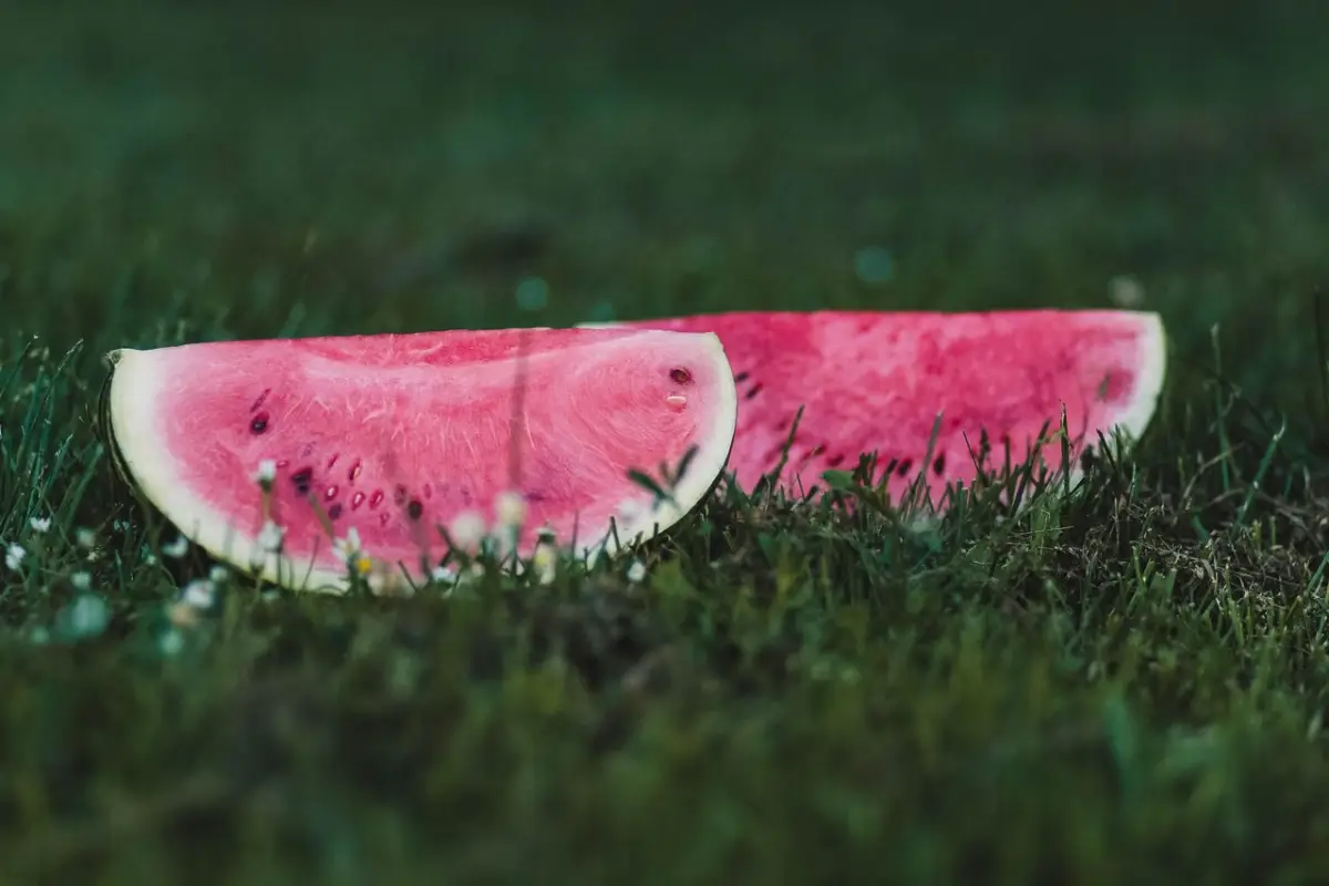 Watermelon Peels: Here's How to Make Organic Compost at Home