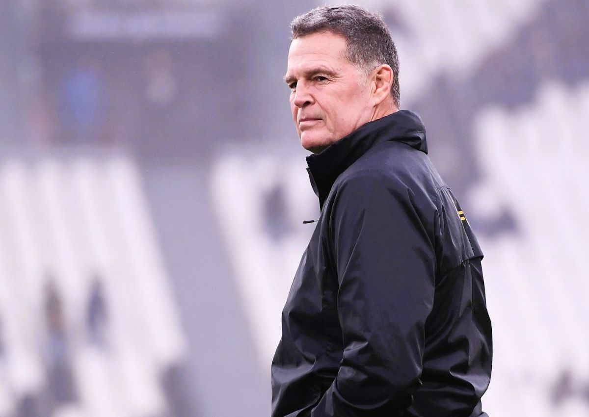 rassie erasmus springboks x