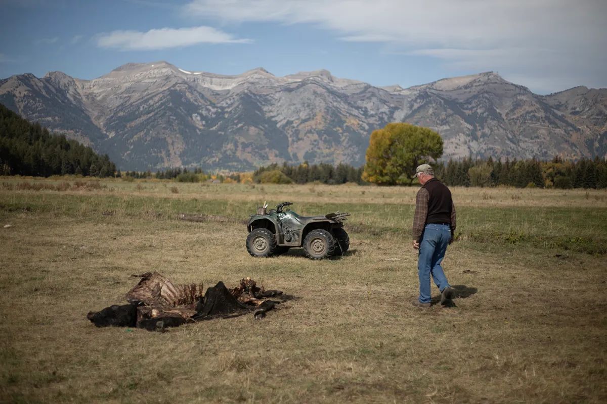 Wyoming sinks another $4.8M into predator killing as demand, costs keep growing