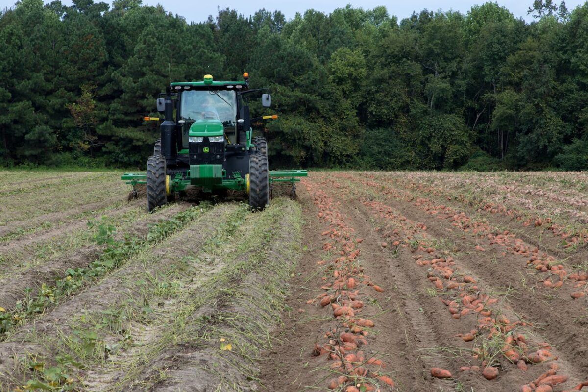 Zimbabwe farms