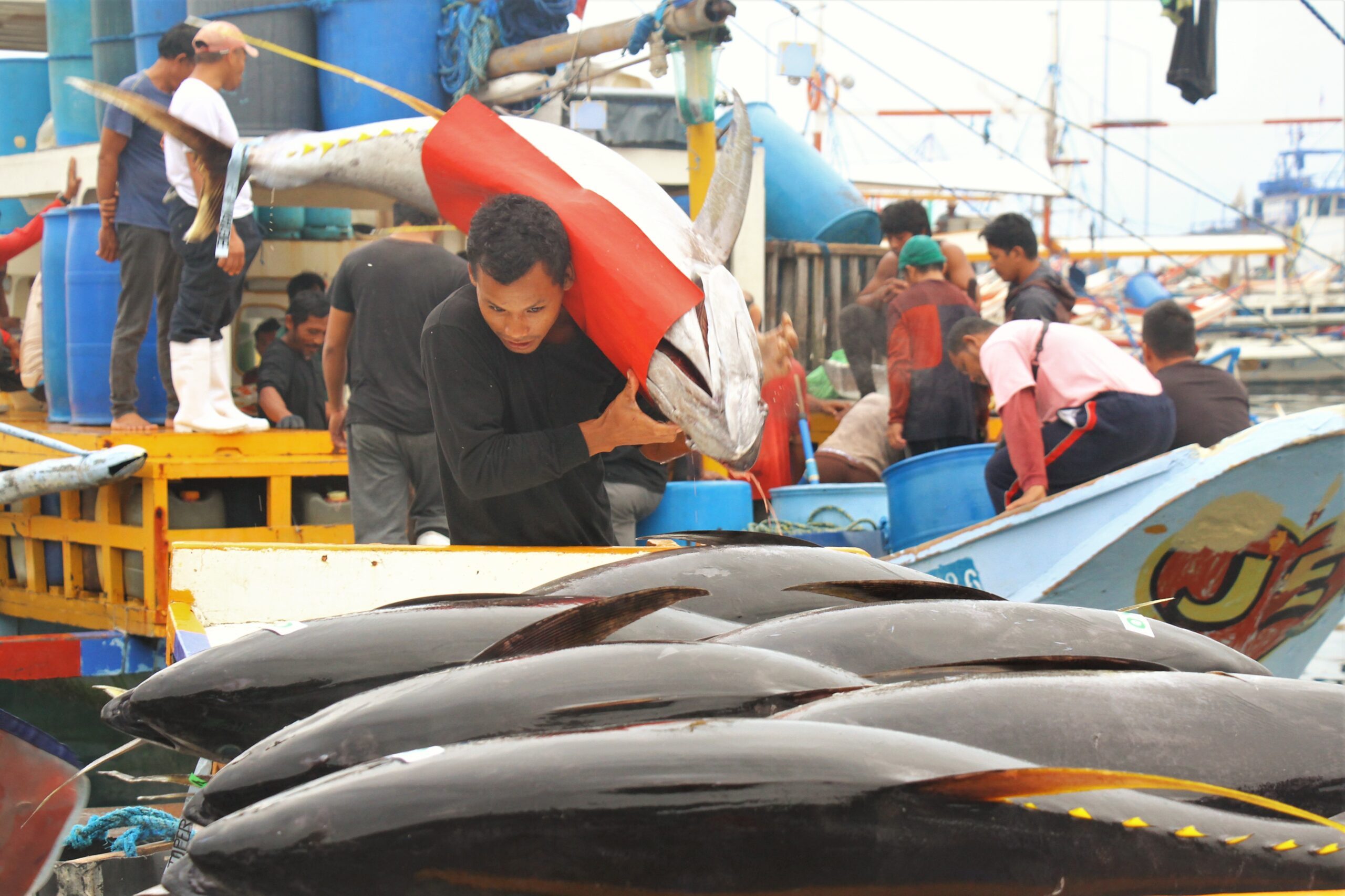2 big tuna exporters in General Santos City suspend operations after earthquake