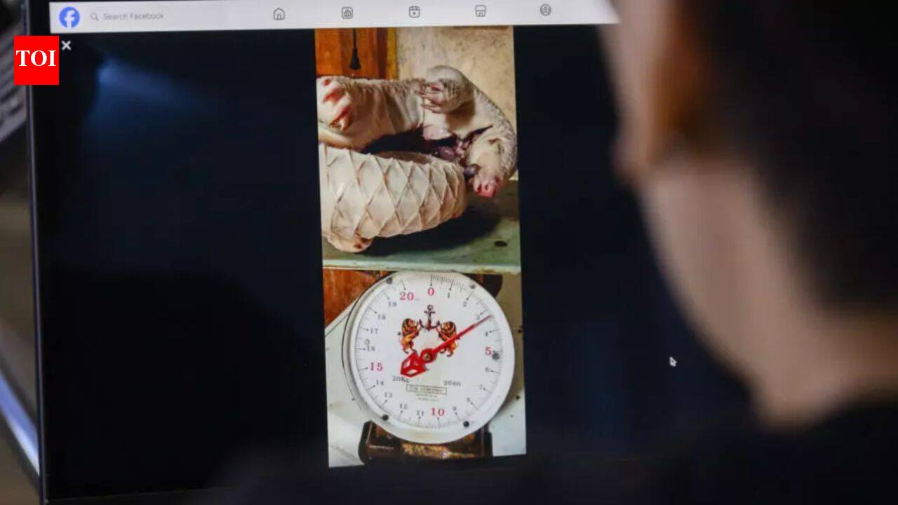 20,000 ads, 2,60,000 products: Report exposes Meta's wildlife trafficking market