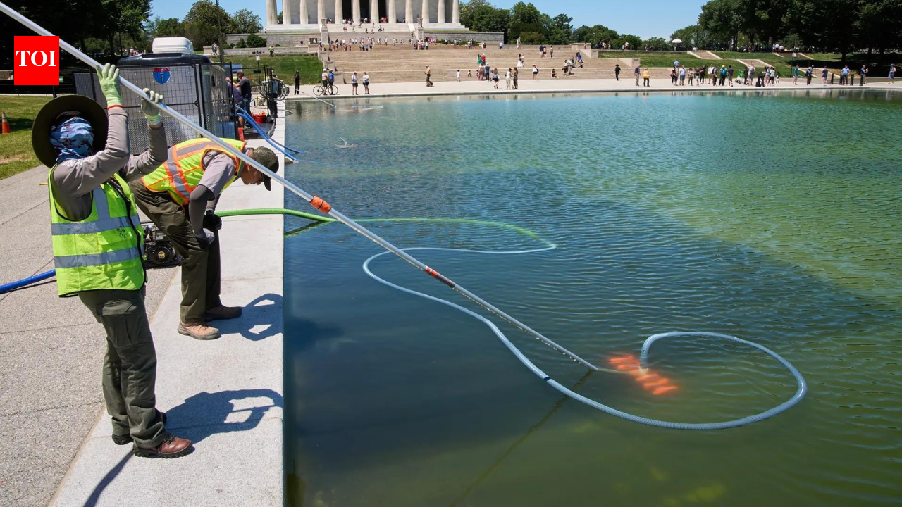 '250-ft gash, poured chemicals': Donald Trump claims vandals damaged Reflecting Pool