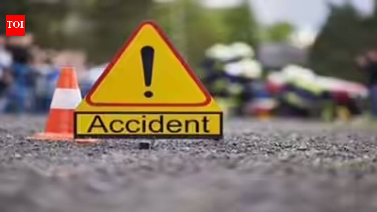 3 pilgrims among 5 killed in J&K road accidents | India News