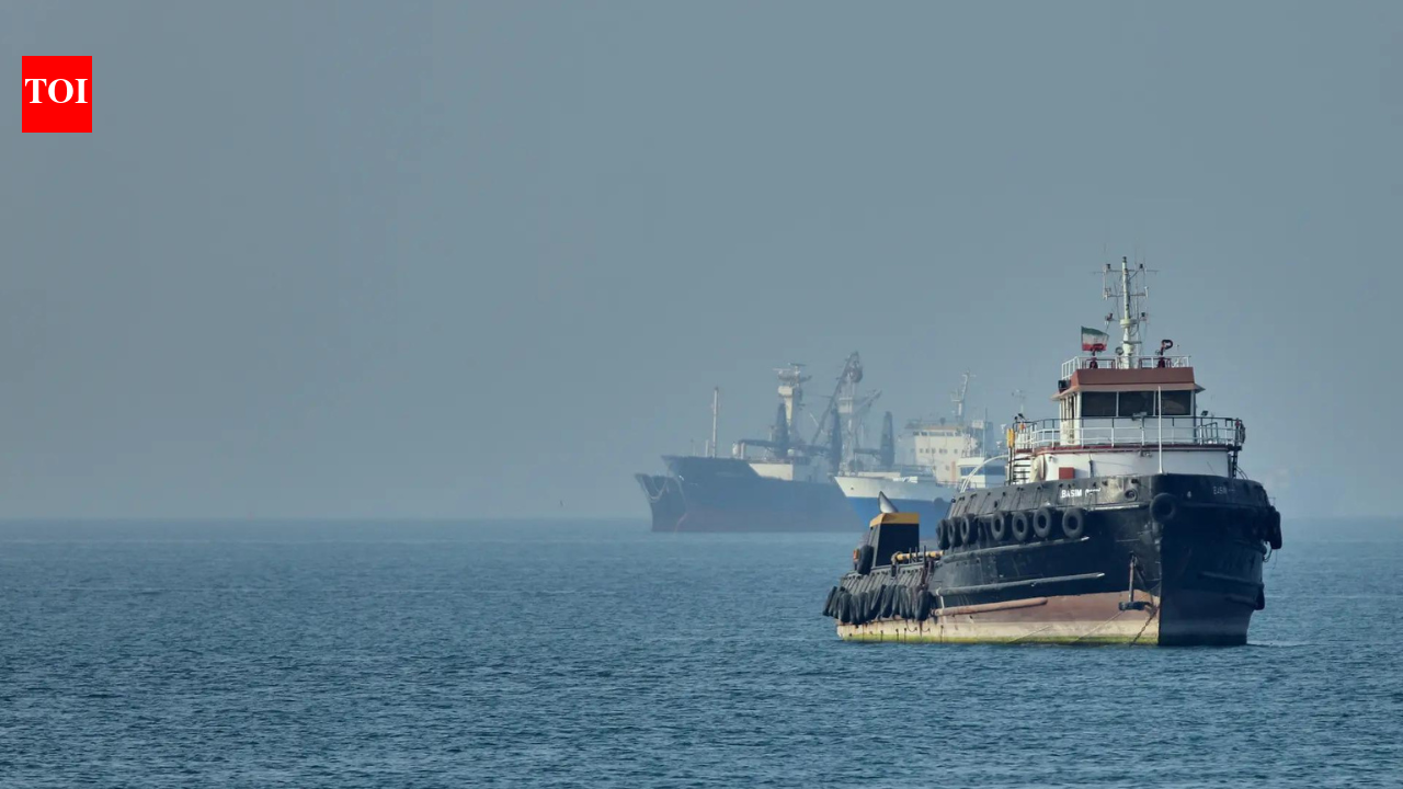 7 India-bound cargo ships cross Hormuz in 3 days, 15 in queue | India News