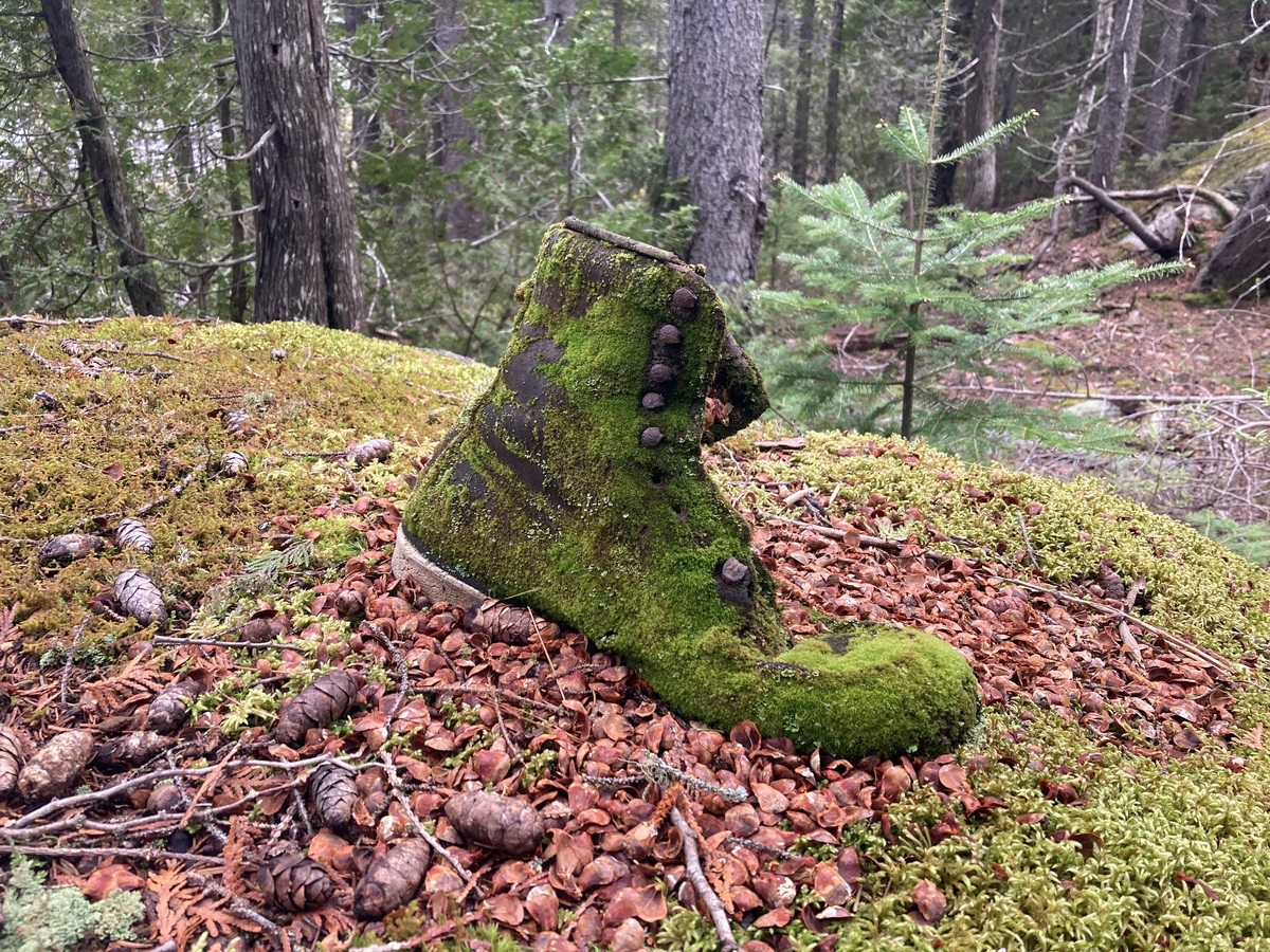 A mysterious boot in the Maine woods raises questions no one can answer