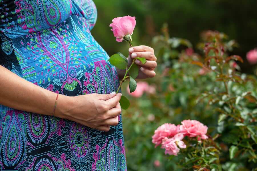 Side view crop pregnant lady in dress holding beautiful rose bloom on blurred background