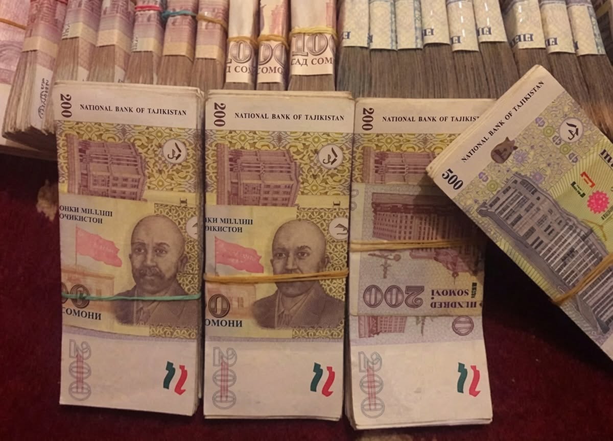 Accountants of the Institute of Botany suspected of embezzling over 1 million somoni in salary funds