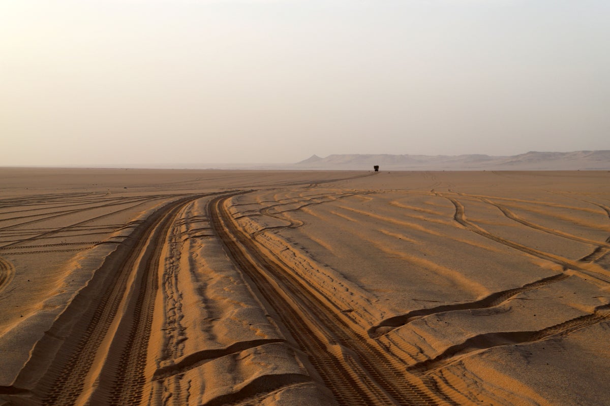 At least 49 die of thirst after truck breaks down in Sahara Desert