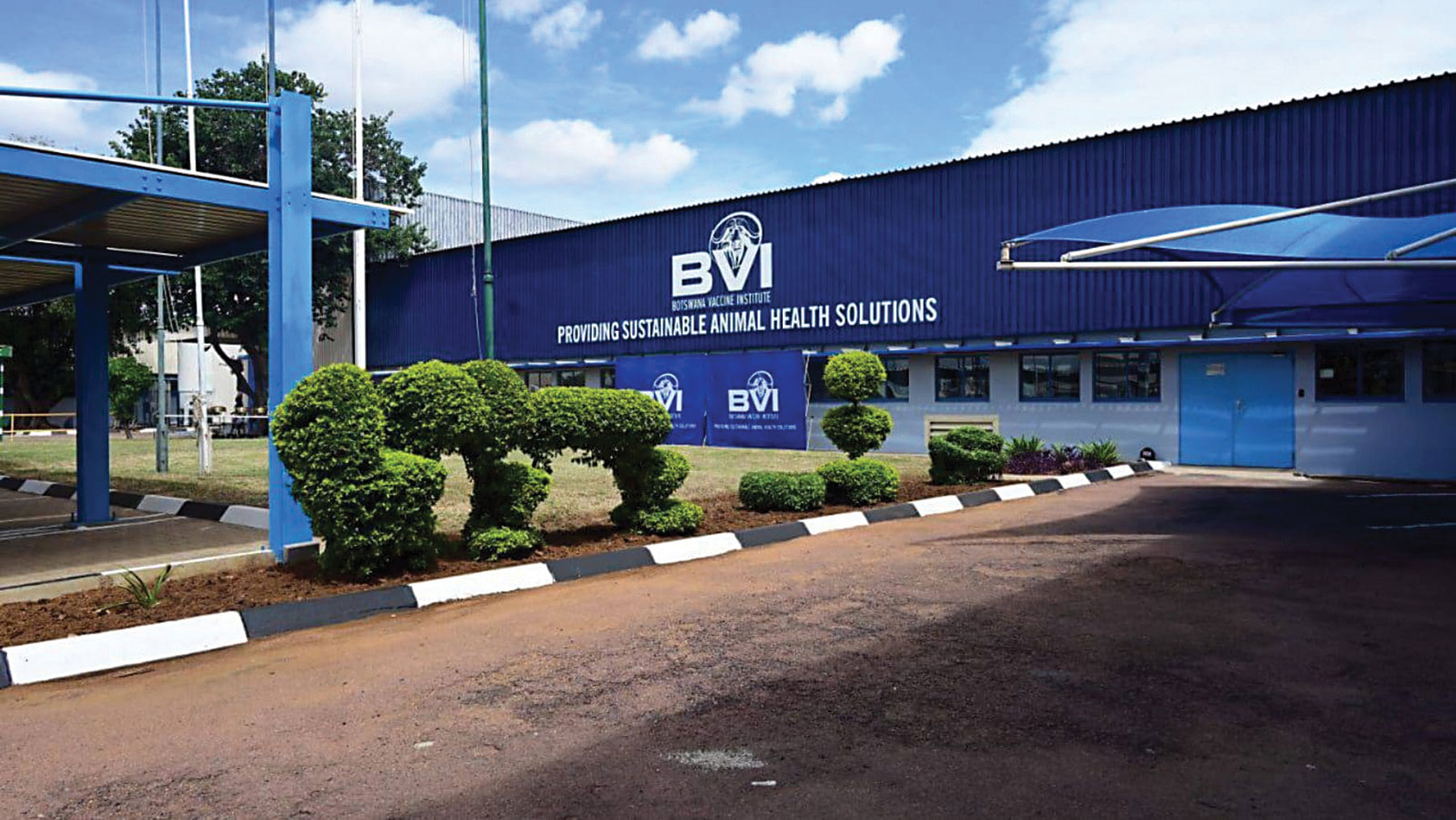 BVI capacity constraints cost Botswana key market