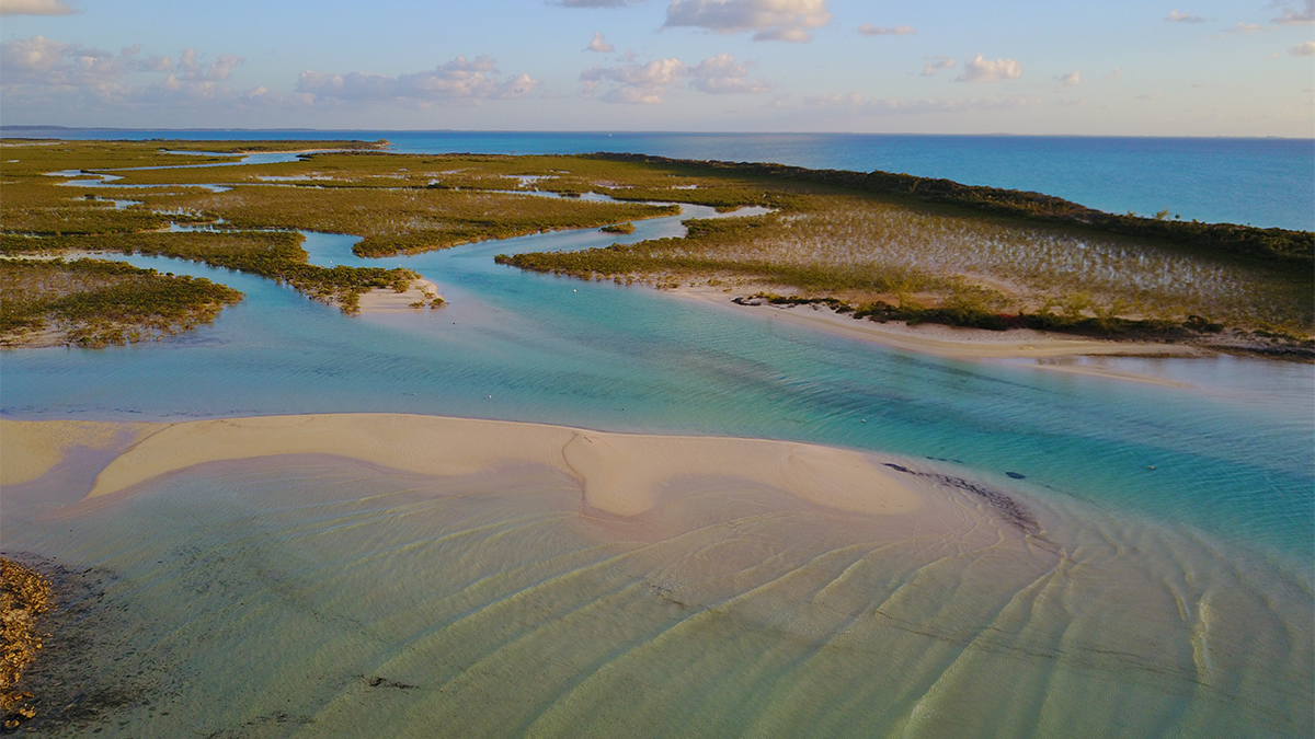 cat island in the bahamas