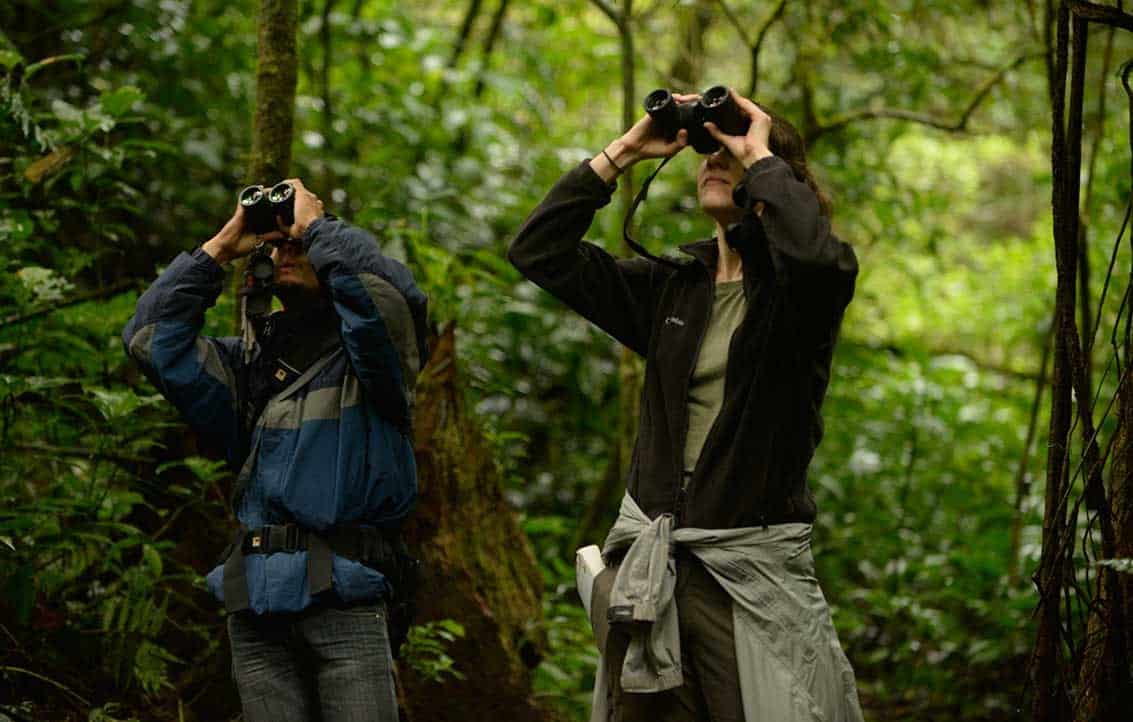 Costa Rica Travel