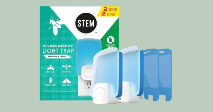 Bug-proof your summer: 9 products that actually keep the pests out - National