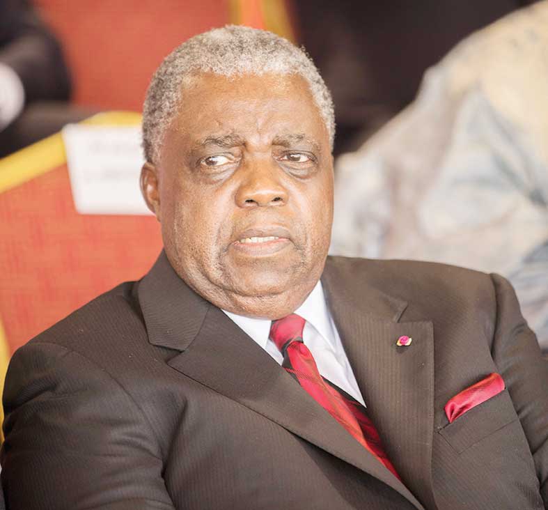 Cameroon Launches SOCADEL to Strengthen State Control of Electricity Sector