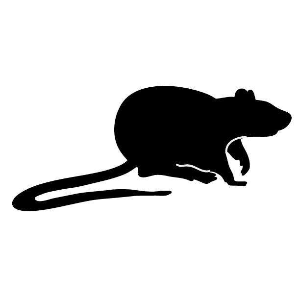 Cedar Grove parents raise concerns over rodent issue
