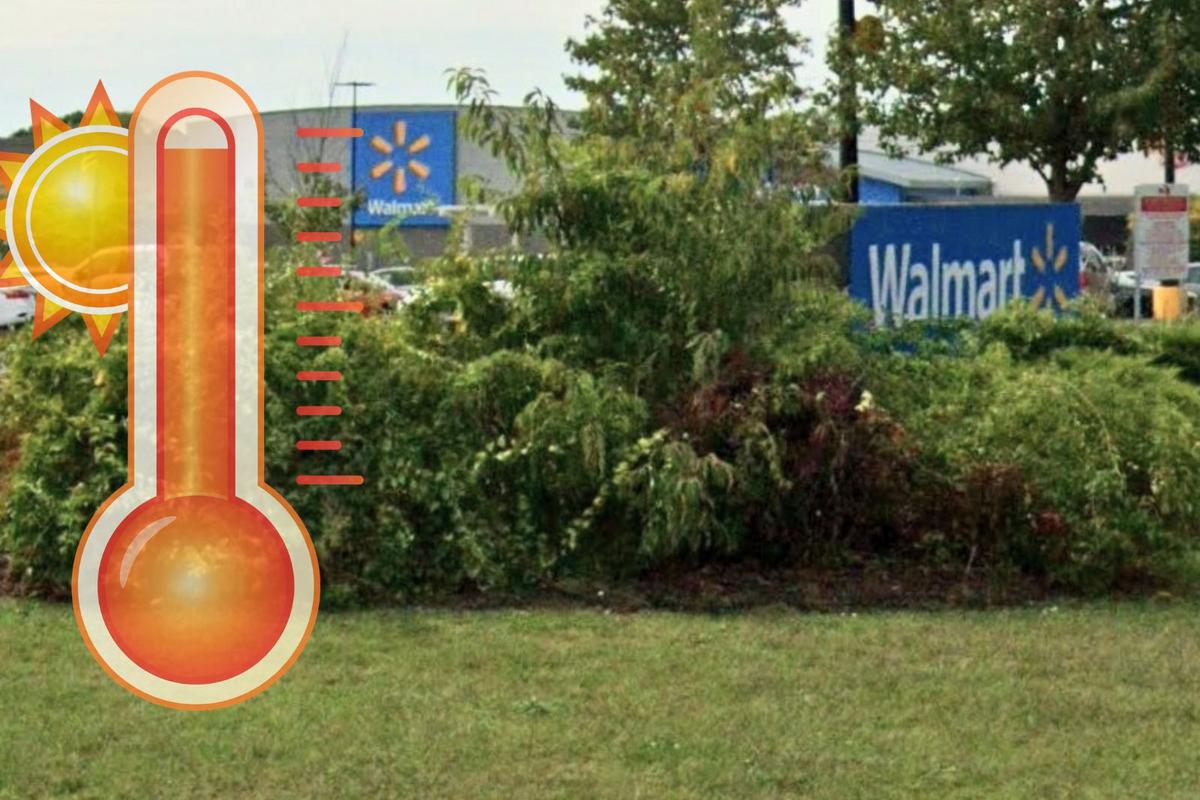 Child welfare concerns after kids left in car at Walmart