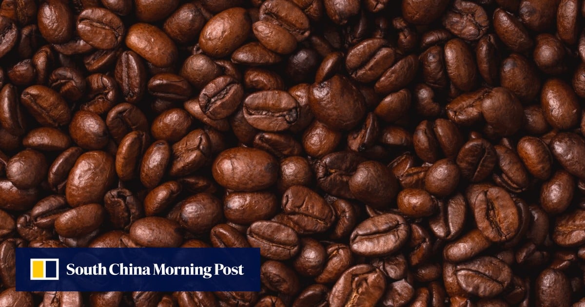Coffee, chillies and cashews: a new recipe to spice up China-Africa trade relations
