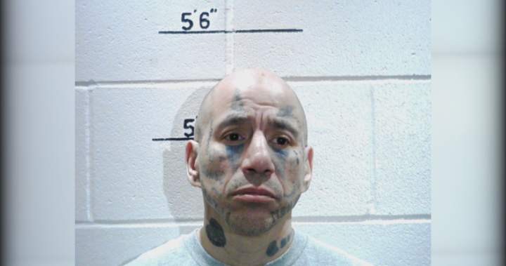 Convicted violent offender with high risk to re-offend released back into Winnipeg: police - Winnipeg