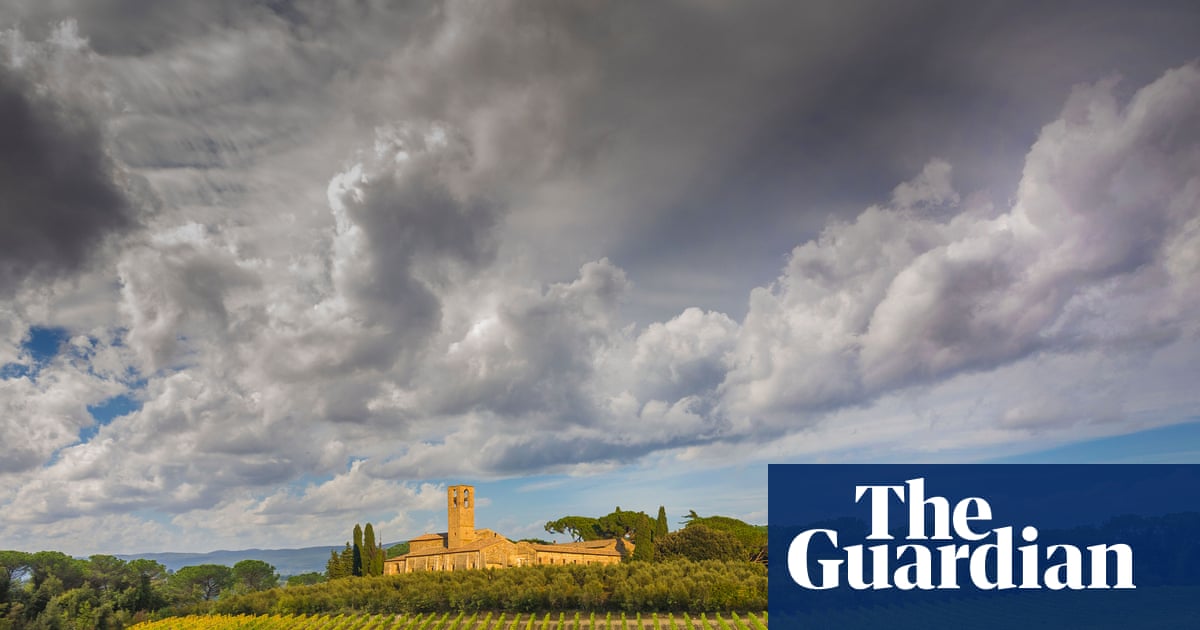 DNA from 2,000-year-old grape seeds points to origins of modern winemaking | Italy