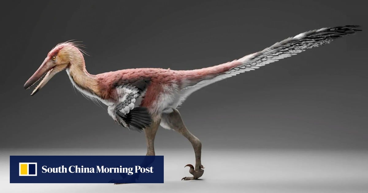 Discovery of fish-eating raptor in Argentina points to prehistoric links with China