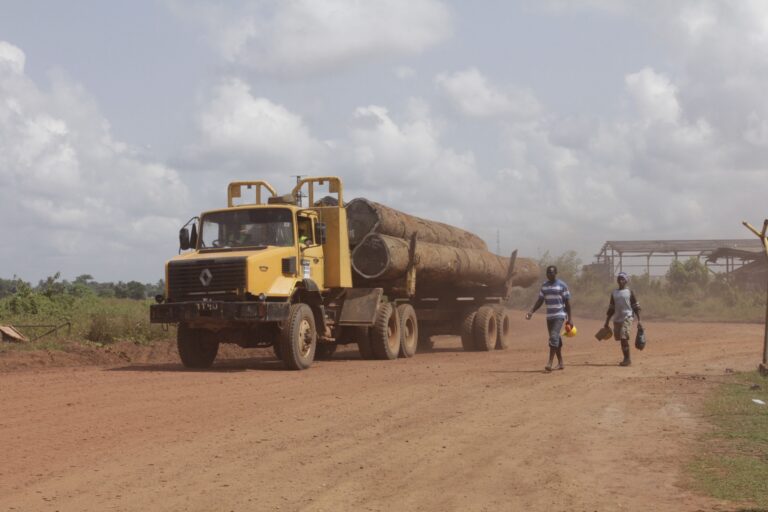 EU votes to end illegal logging agreement with Liberia