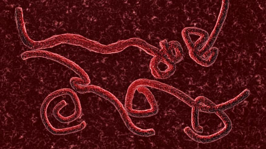 Ebola Bundibugyo Virus Disease outbreak in Central and East Africa