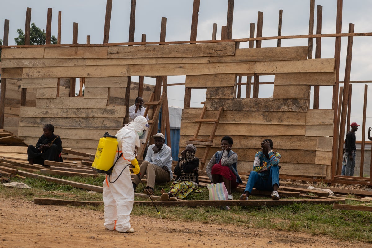 Ebola cases increase almost 40% in a week as death toll passes 200