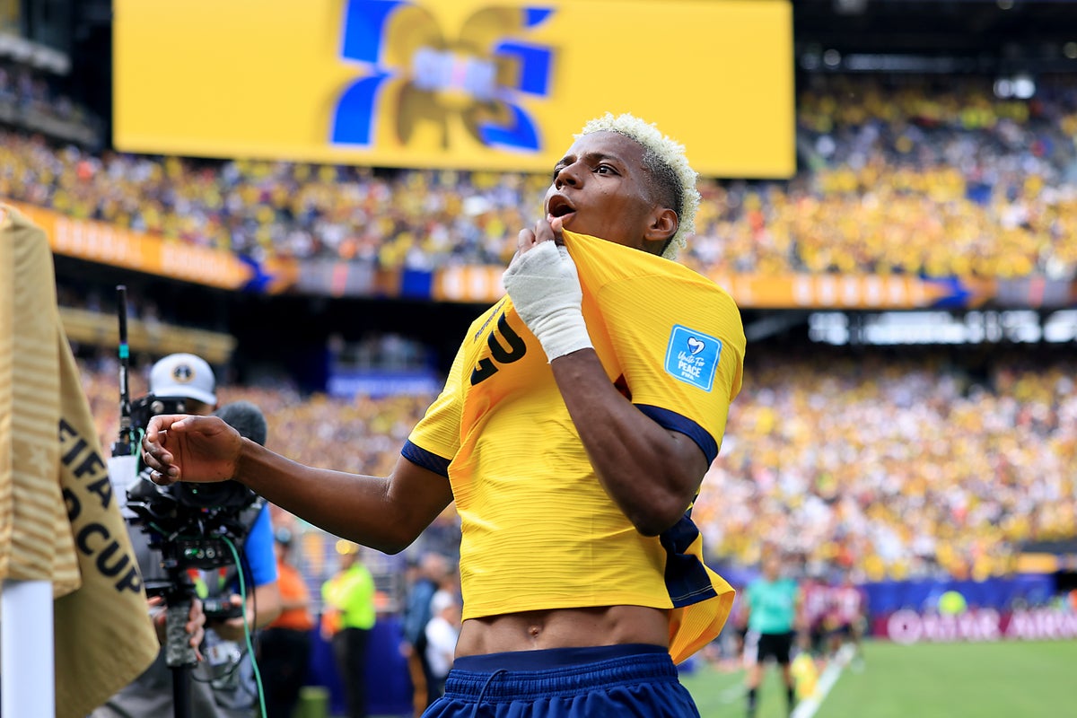 Ecuador president declares national holiday after shock World Cup win over Germany