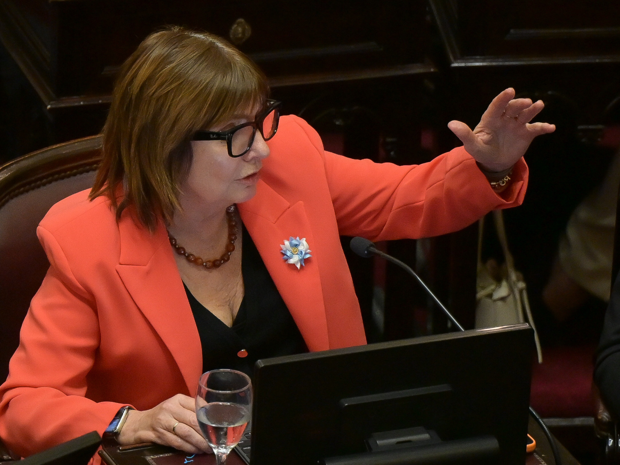 En medio del escándalo de Adorni, Bullrich busca destrabar la eliminación de las PASO y le lleva una propuesta a Karina Milei